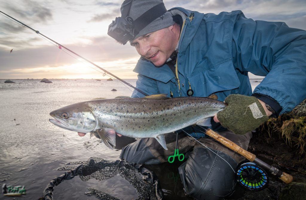 Sea trout winter fishing with fly rod #3